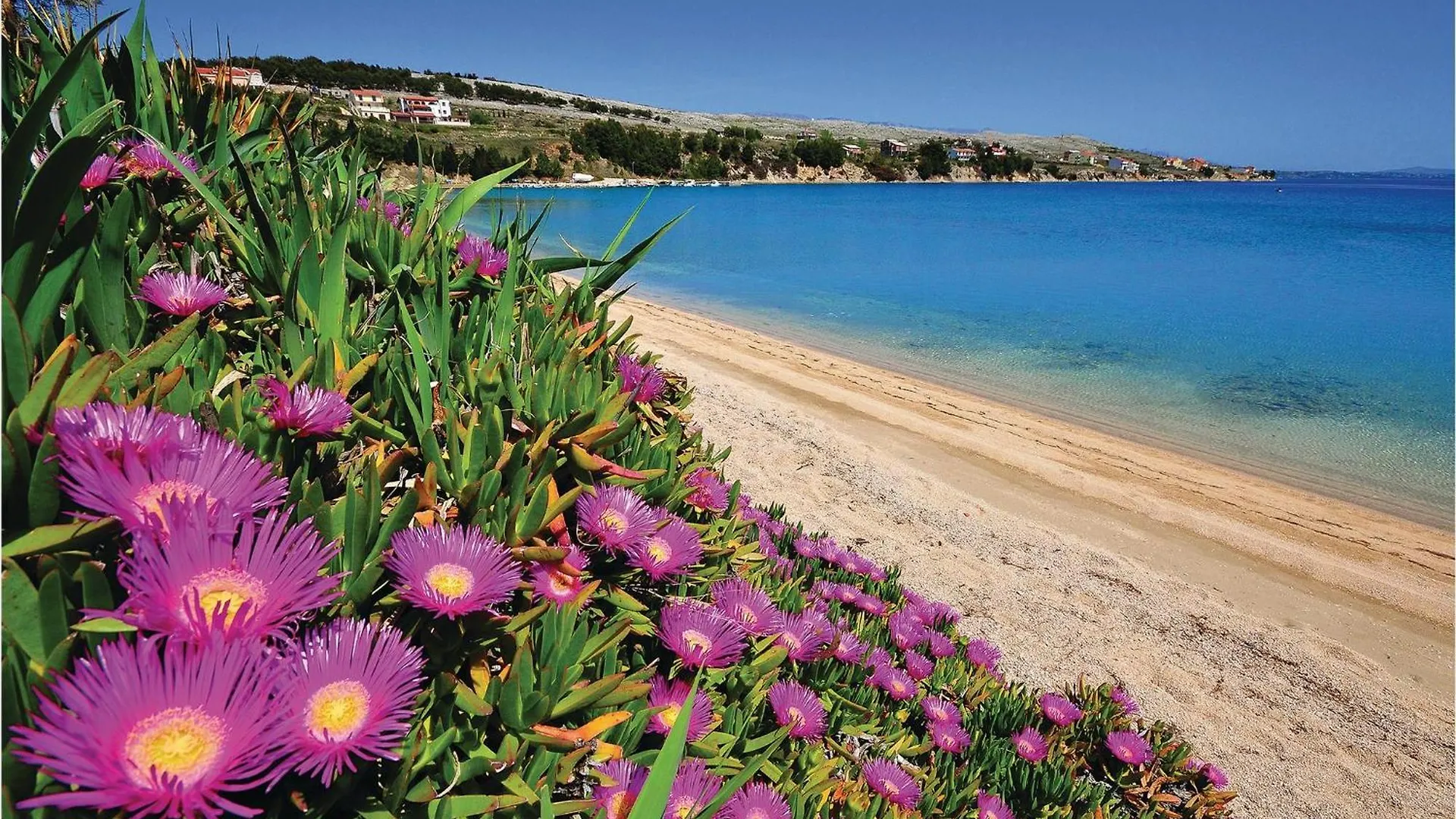 Awesome Apartment In Pag With Kitchen Pag Town 0*,